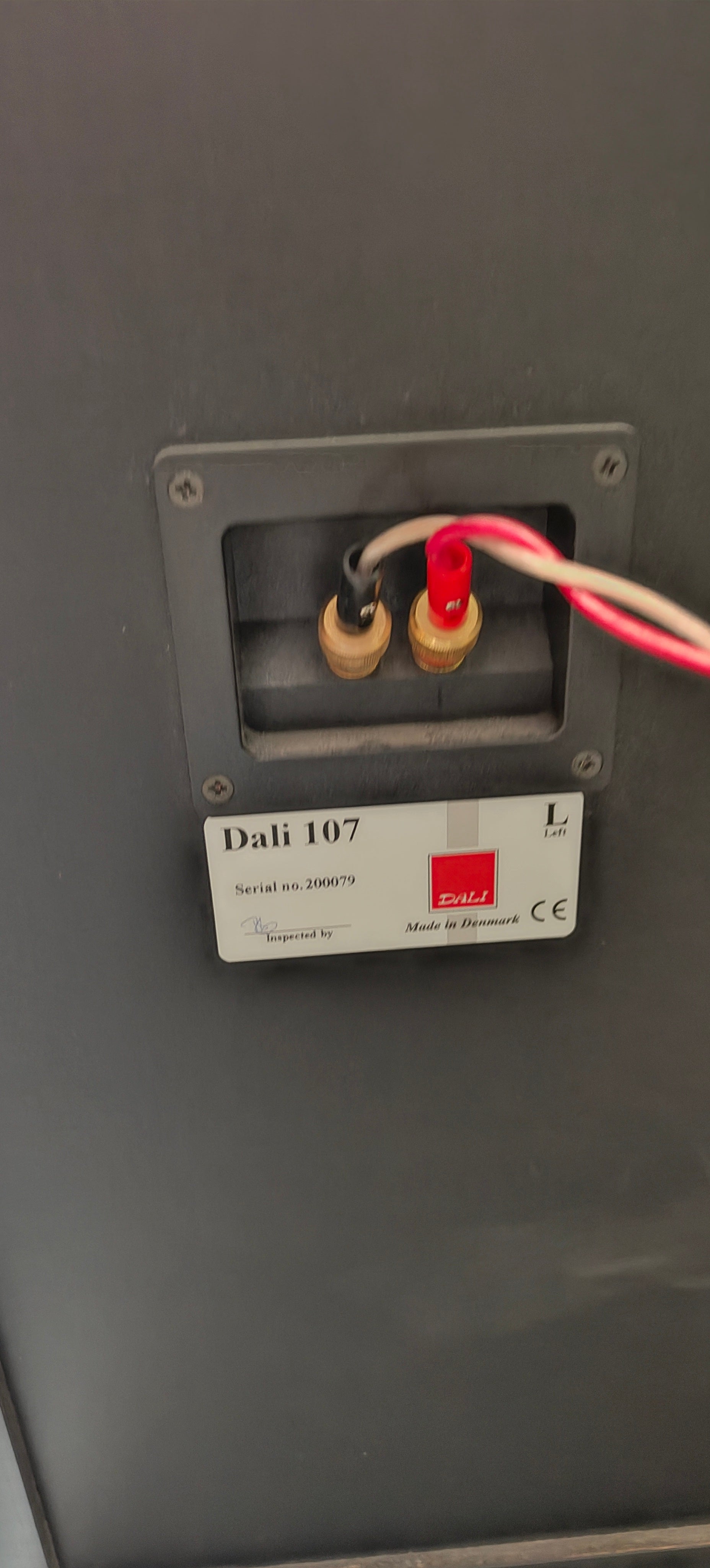 Dali 107