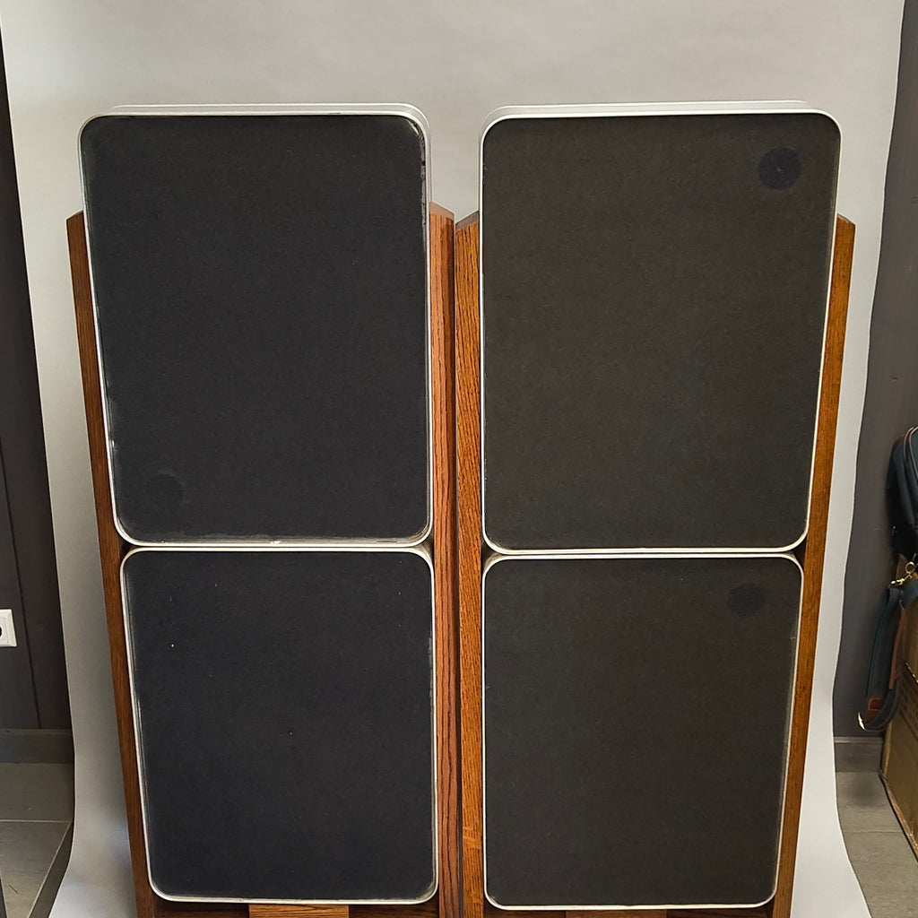 Bertagni Electroacoustic Systems D120 Geostatic Speakers (Pair) 1976