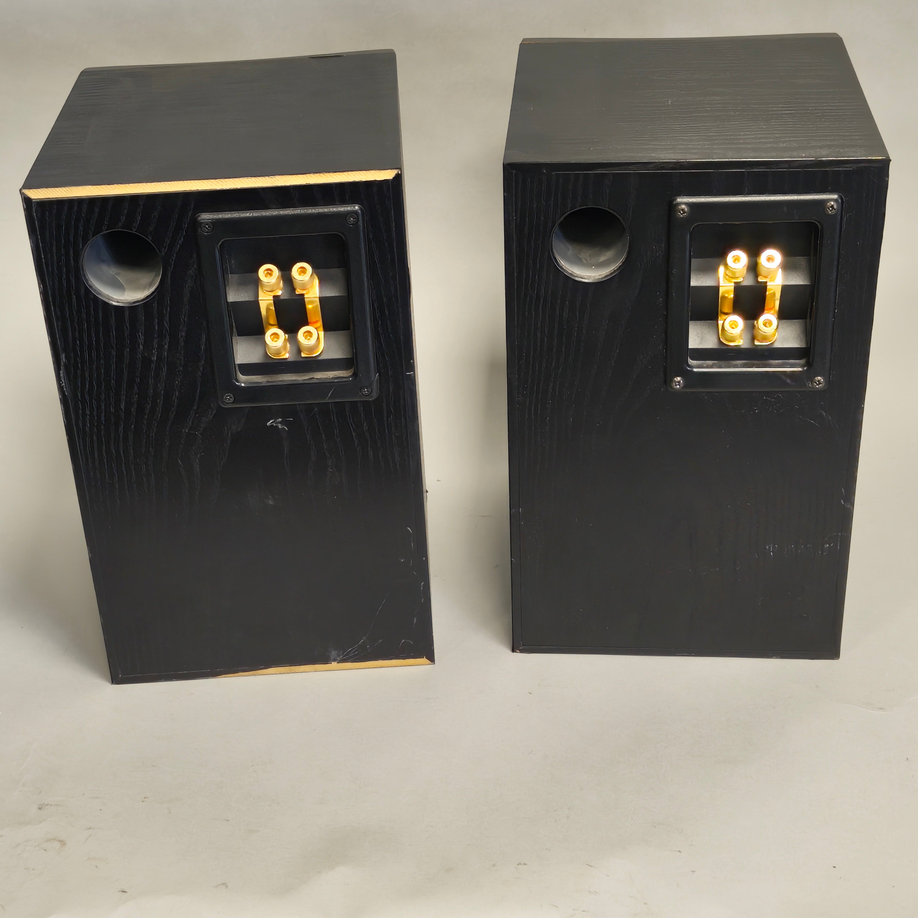 Custom bookshelf speakers